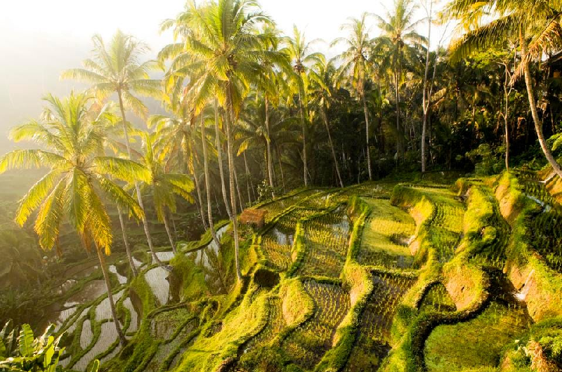 Indonesia không chỉ có Bali, thiên đường du lịch mở cửa vẫy gọi - Ảnh 1